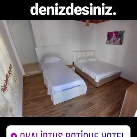Okaliptus Butik Hotel Nocleg ze śniadaniem Fethiye