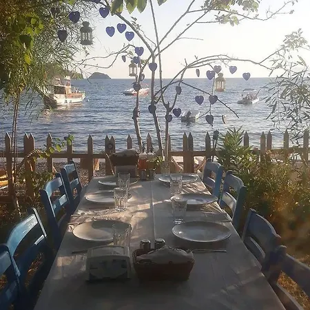 Nocleg ze śniadaniem Okaliptus Butik Hotel Fethiye