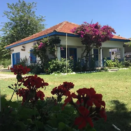 Nocleg ze śniadaniem Okaliptus Butik Hotel
