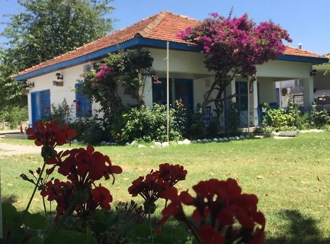 Alojamento de Acomodação e Pequeno-almoço Okaliptus Butik Hotel