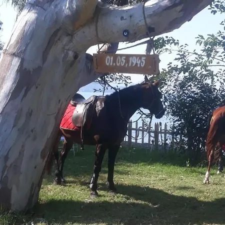 Frühstückspension Okaliptus Butik Hotel Fethiye