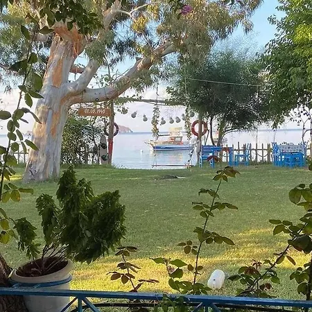 Okaliptus Butik Hotel B&B