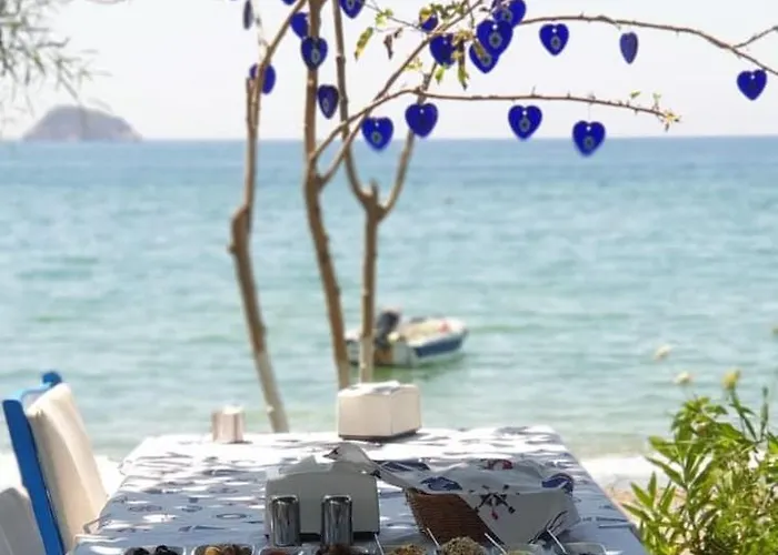 Bed & Breakfast Okaliptus Butik Hotel