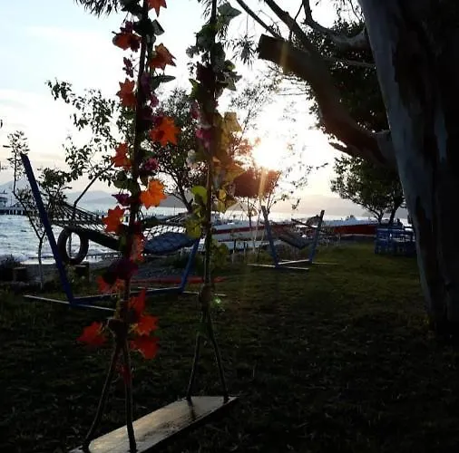 Bed & Breakfast Okaliptus Butik Hotel