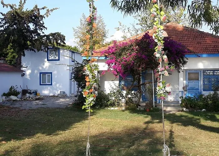 לינה וארוחת בוקר Okaliptus Butik Hotel *