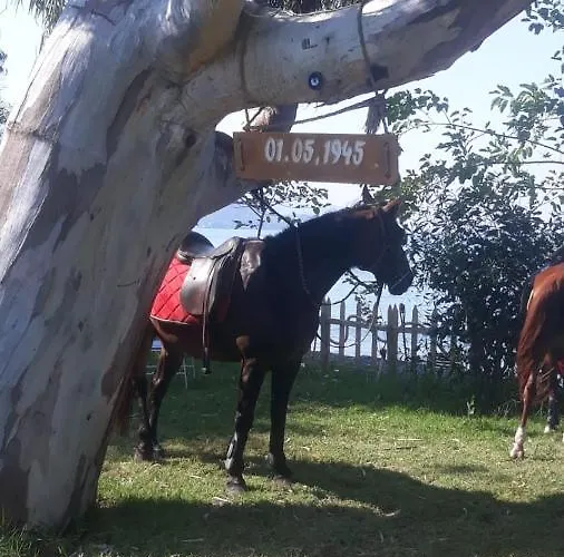 לינה וארוחת בוקר Okaliptus Butik Hotel פאטהיה