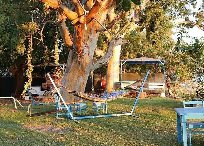 לינה וארוחת בוקר Okaliptus Butik Hotel