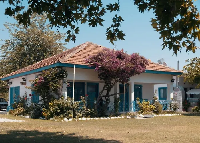 Okaliptus Butik Hotel *