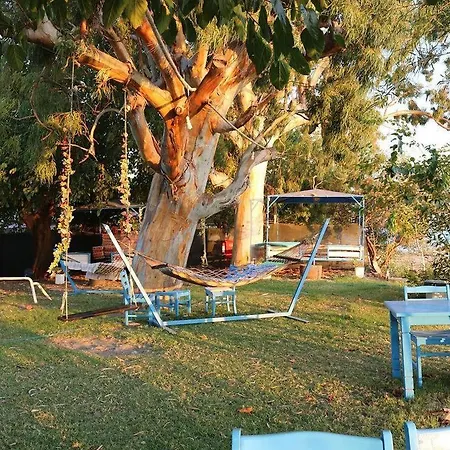 B&B Okaliptus Butik Hotel